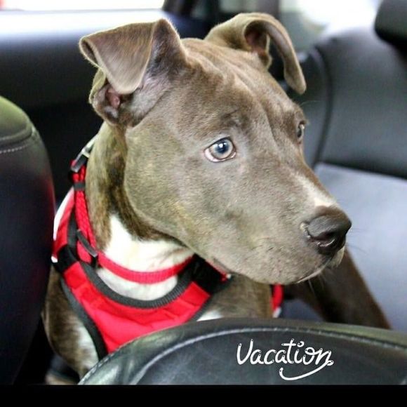 Meet your Posher, Sandra - Picture 1 of 1